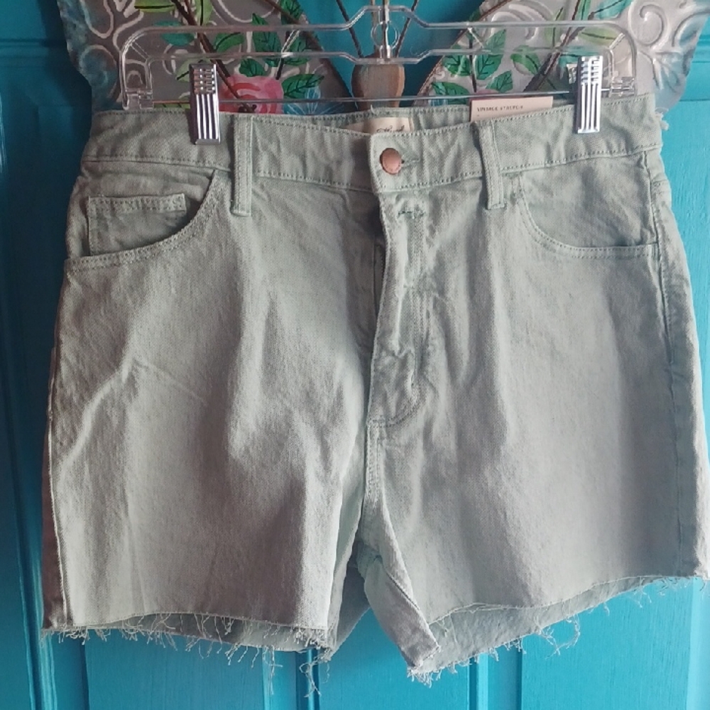 Universal Thread Vintage Stretch Women's Green Denim Shorts Size 10 NWT